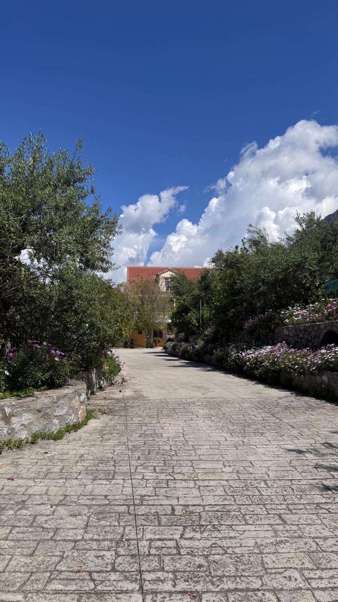Verga Apartments & Suites Καλαμάτα Εξωτερικό φωτογραφία