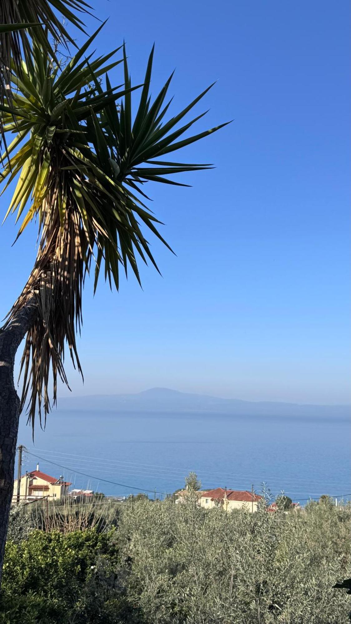 Verga Apartments & Suites Καλαμάτα Εξωτερικό φωτογραφία