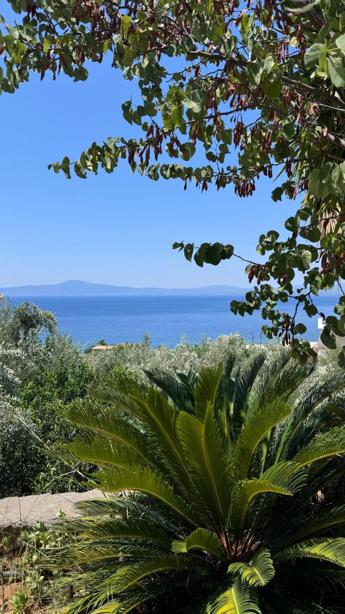 Verga Apartments & Suites Καλαμάτα Εξωτερικό φωτογραφία